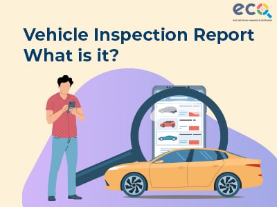 Vehicle Inspection Reports