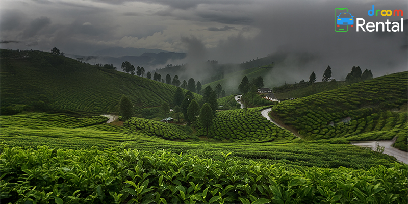 Ooty, Tamil Nadu