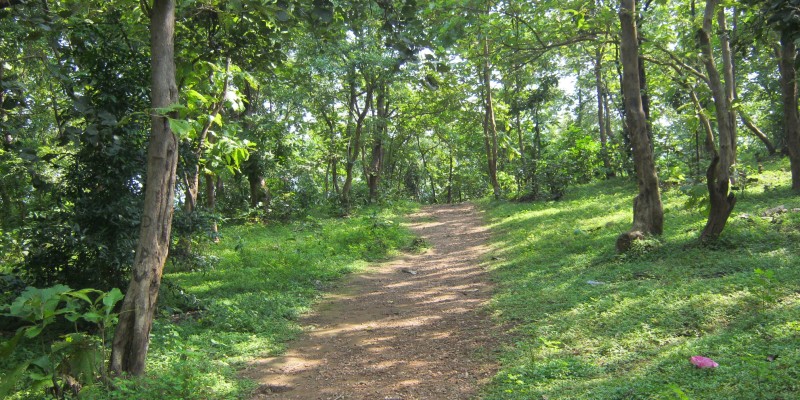 Jambughoda Wildlife Sanctuary