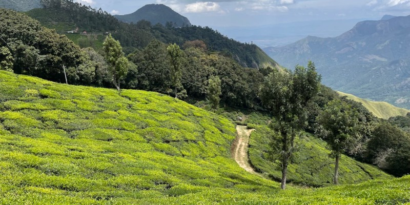 Munnar