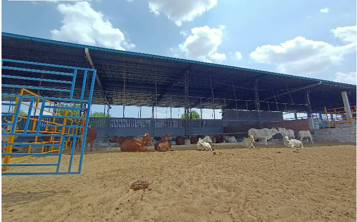 Gaushala Khatu Shyam