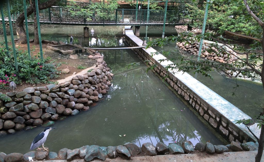 Bannerghatta_National_Park