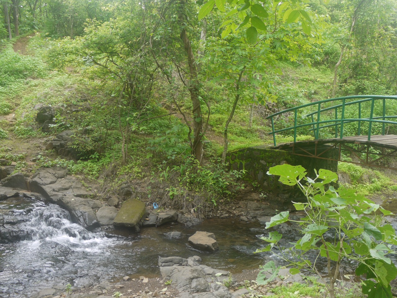 Karnala_Bird_Sanctuary