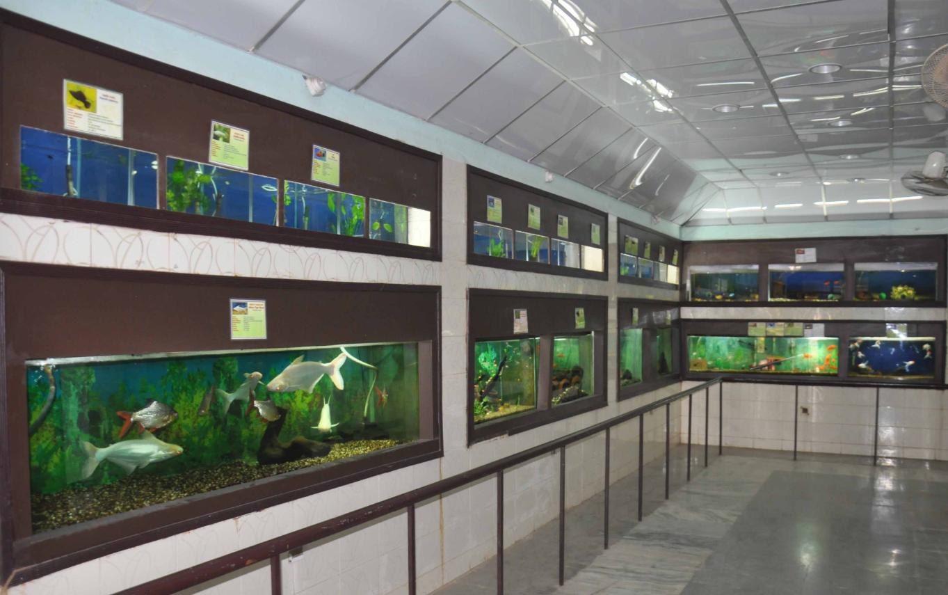 CIFA Aquarium